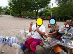 114_20120609234212.jpg