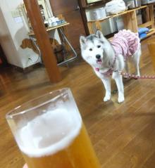119_20120513222028.jpg