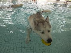 119_20120809222327.jpg