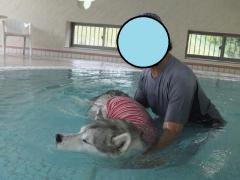 123_20120809222326.jpg
