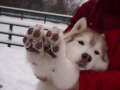123_20130111235437.jpg