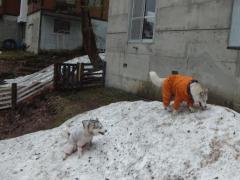 126_20120515221729.jpg