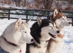 129_20130110230215.jpg