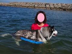 135_20120922233754.jpg