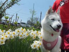 139_20120524224300.jpg