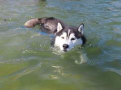142_20120922233754.jpg