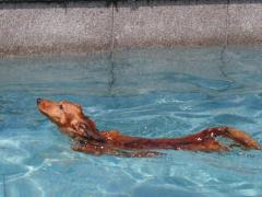 143_20120831233505.jpg