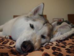 147_20130110230214.jpg