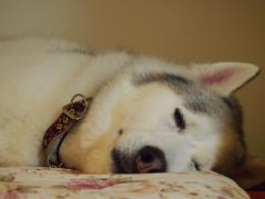 149_20130110230214.jpg
