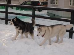155_20130110222739.jpg