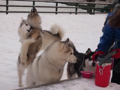 162_20130110222739.jpg