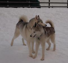 163_20130110223057.jpg