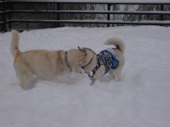 166_20130112000112.jpg