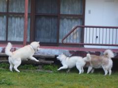 167_20121029221957.jpg