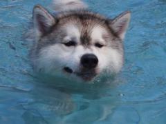 173_20120831233627.jpg