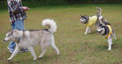 183_20121021224421.jpg