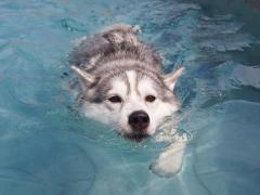 186_20120911223228.jpg