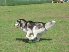 2004GW5_20121209000926.jpg