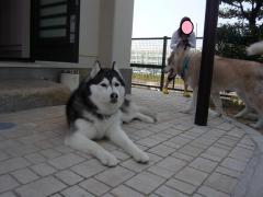 2009.3ロシェ家3