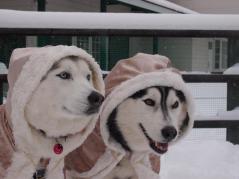 202_20130112000223.jpg