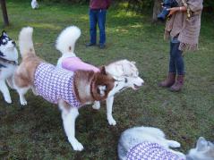 234_20121029222909.jpg