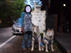 256_20121029223706.jpg