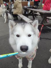 260_20120515224856.jpg