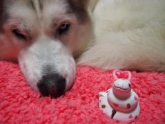 260_20130112000520.jpg