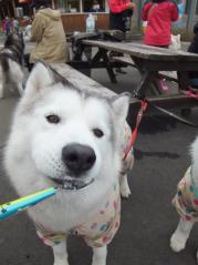 261_20120515224855.jpg