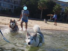 267_20120923001055.jpg