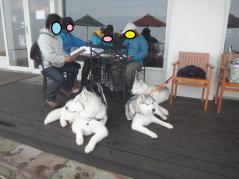 271_20120520115059.jpg