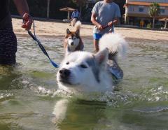 271_20120923001054.jpg