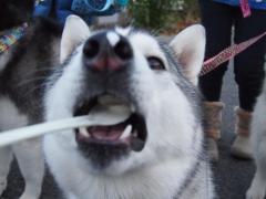 289_20121228231719.jpg