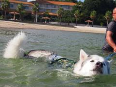290_20120923001053.jpg