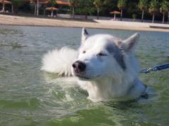 291_20120923145650.jpg