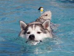 324_20120831234739.jpg