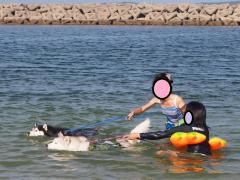 333_20120923145742.jpg