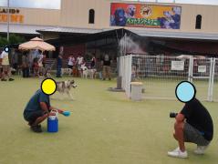 347_20120914232946.jpg