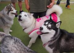 382_20120913224803.jpg