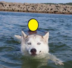 405_20120923151026.jpg