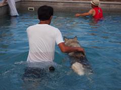 424_20120831235741.jpg