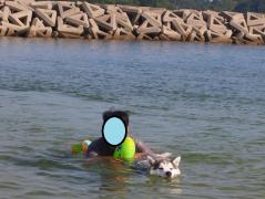 465.jpg