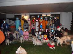 699_20121028220908.jpg