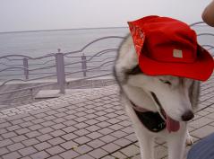 PICT0395.jpg
