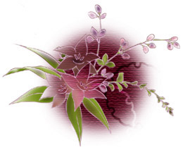 e64_20120904002220.jpg
