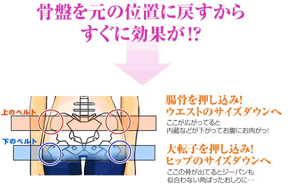 骨盤ウォーカーベルトは骨盤を元の位置に戻します 骨盤ウォーカーベルトを実践した効果は