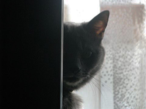 003_R_20120529235145.jpg
