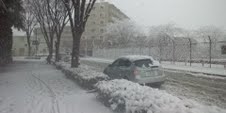 14昼雪1