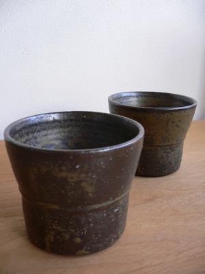 P1050537-1.jpg