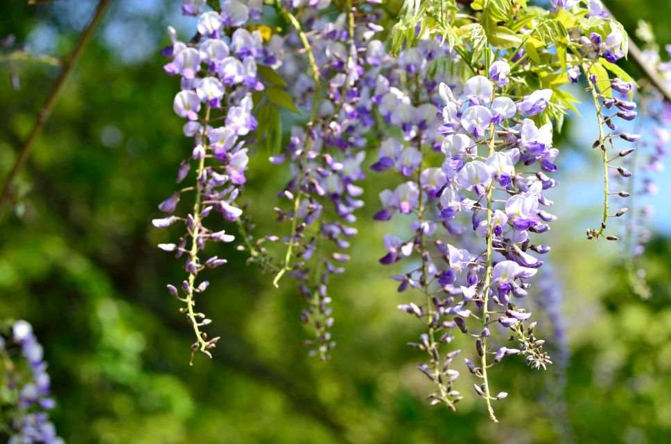 DSC_0898.jpg